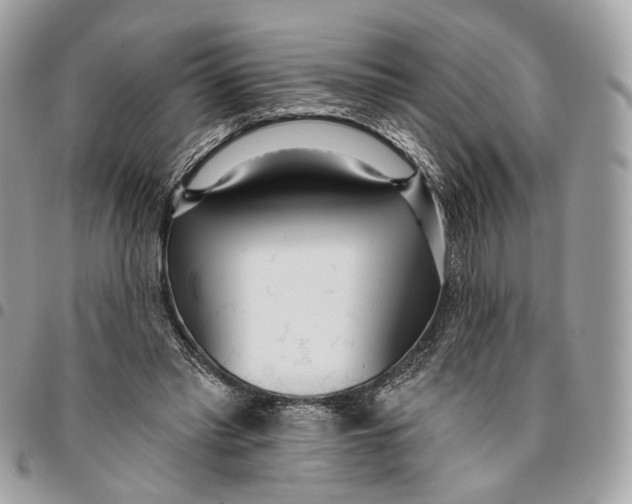 X0000096150397200802081416