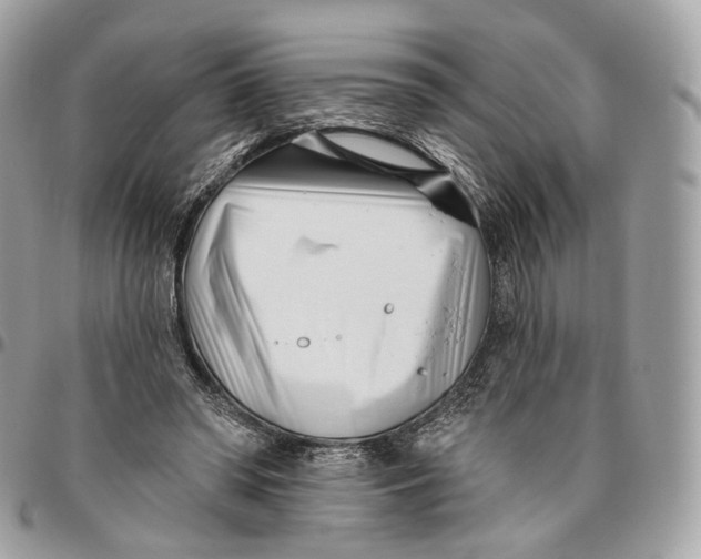 X0000096150398200802081416