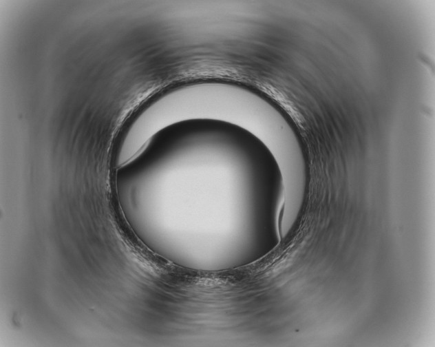 X0000096150399200802081416