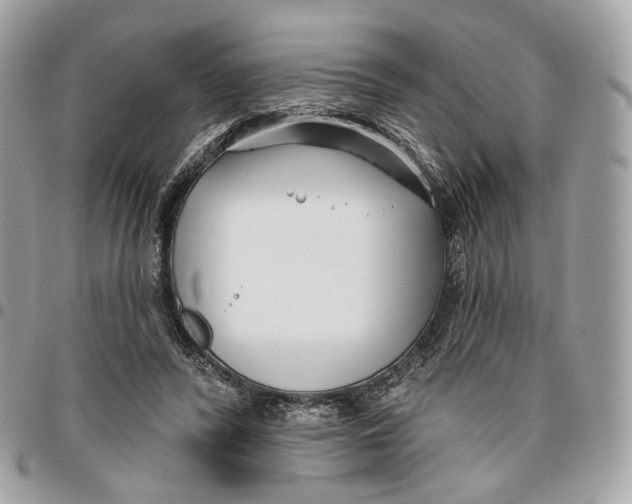 X0000096150400200802081416