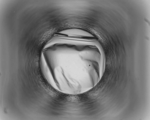 X0000096150402200802081416