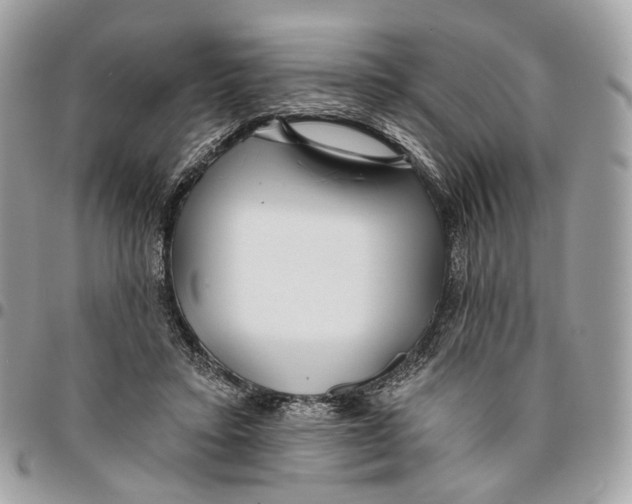 X0000096150403200802081416