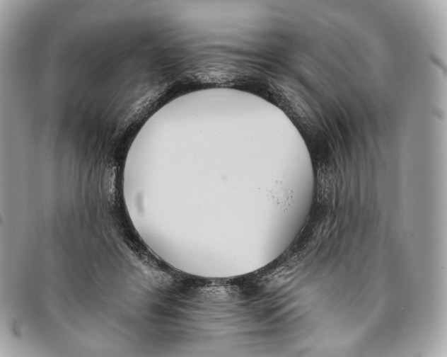 X0000096150404200802081416