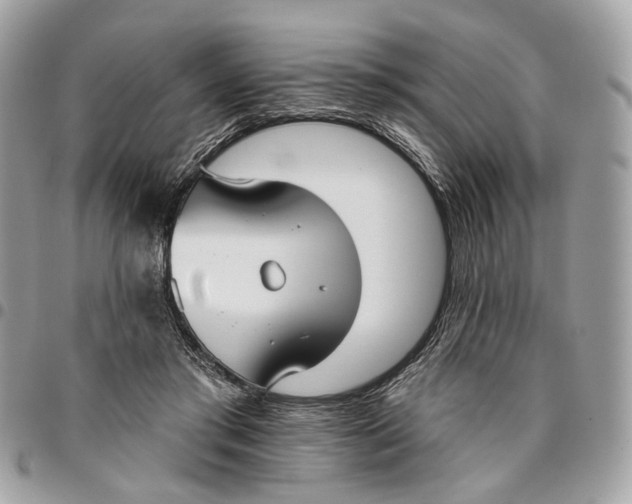 X0000096150405200802081416