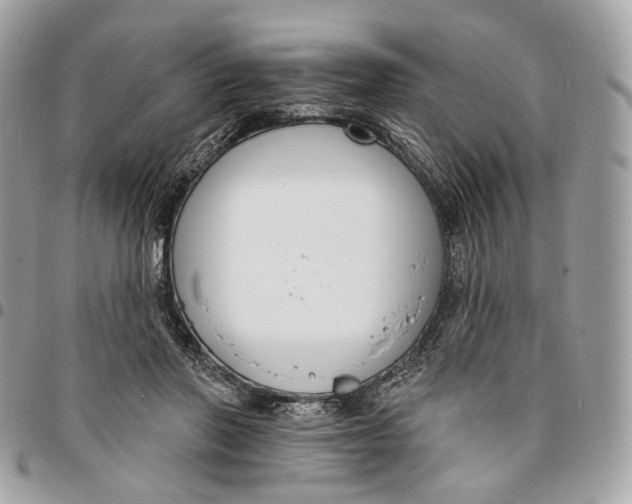 X0000096150406200802081416