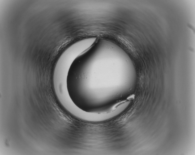 X0000096150407200802081416