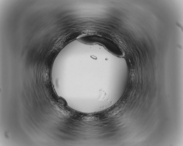 X0000096150408200802081416