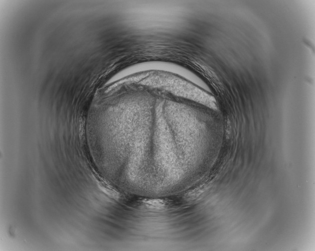 X0000096150409200802081416