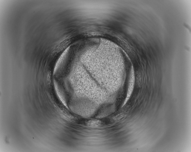 X0000096150410200802081416