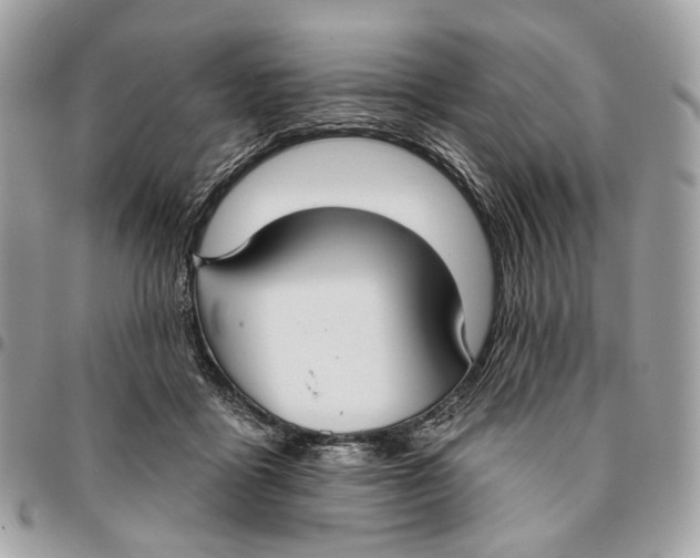 X0000096150411200802081416