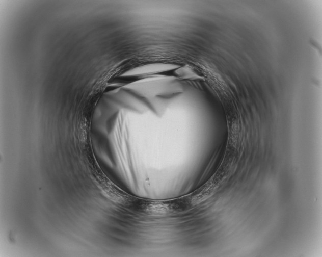 X0000096150413200802081416