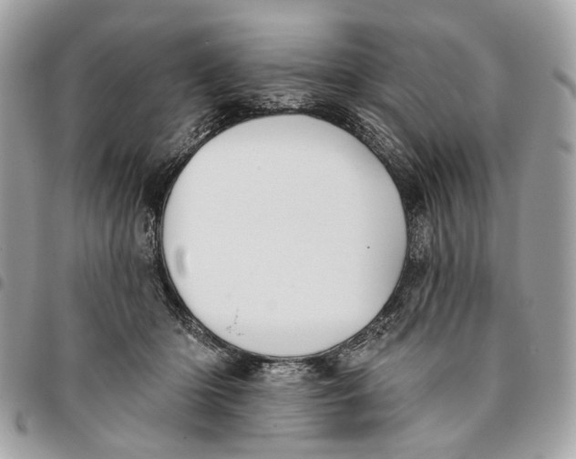 X0000096150414200802081416