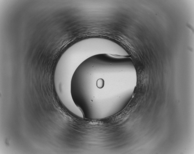 X0000096150415200802081416