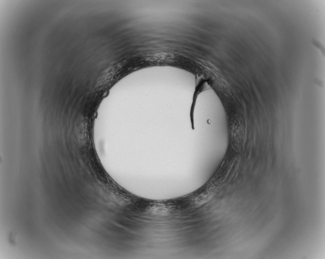 X0000096150416200802081416