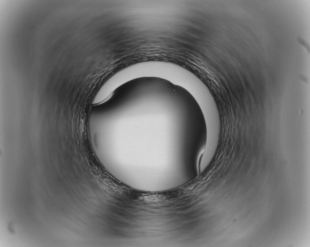 X0000096150417200802081416