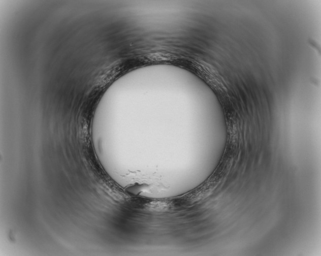 X0000096150418200802081416