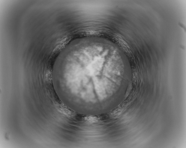 X0000096150419200802081416