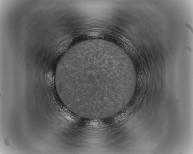 X0000096150420200802081416