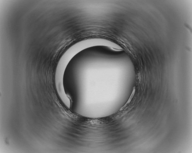 X0000096150423200802081416