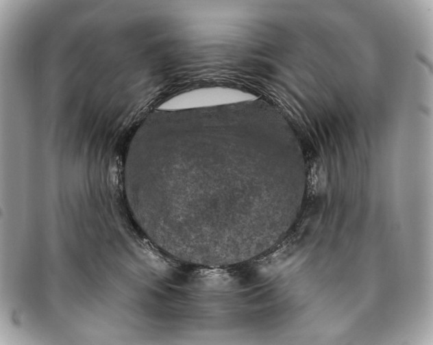 X0000096150424200802081416