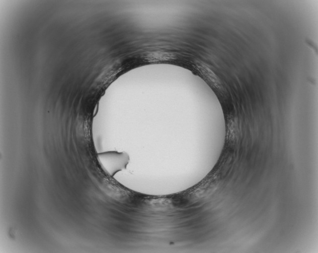 X0000096150426200802081416