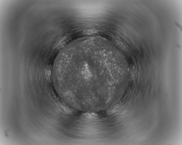 X0000096150427200802081416