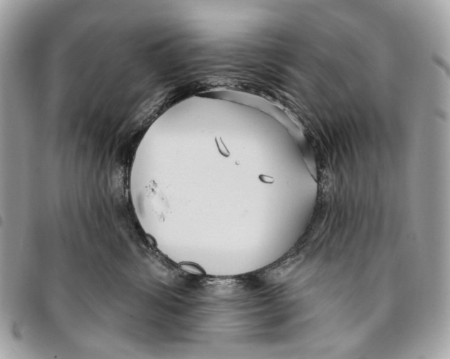 X0000096150428200802081416