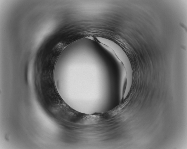 X0000096150429200802081416