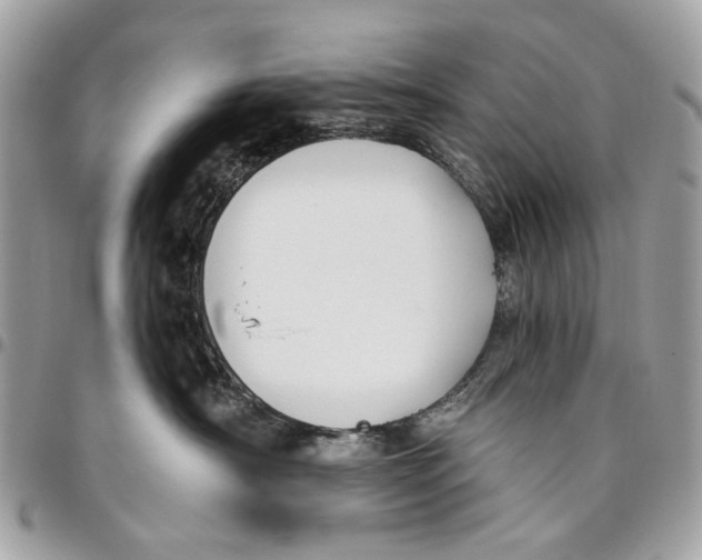 X0000096150430200802081416