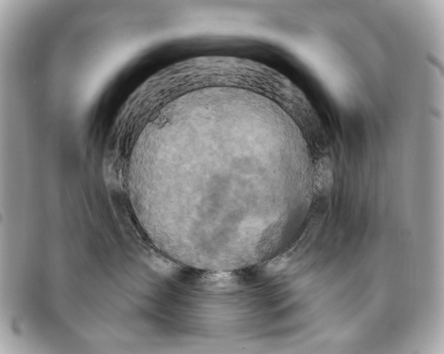 X0000096150431200802081416