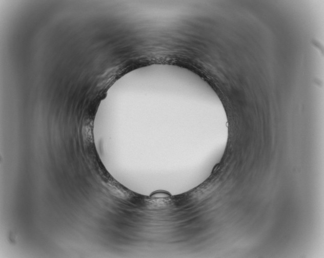 X0000096150432200802081416