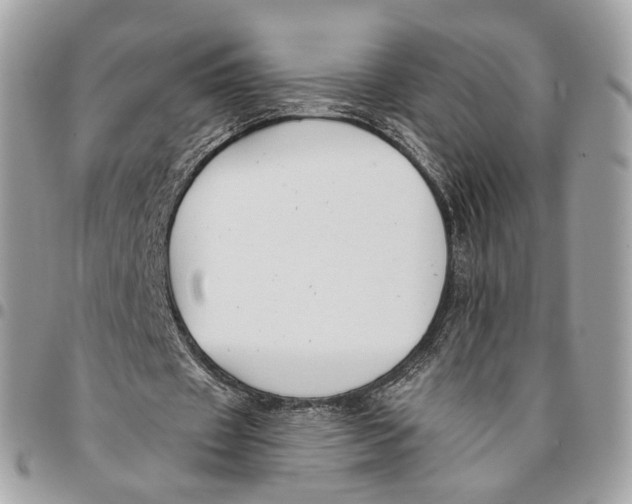 X0000096150433200802081415