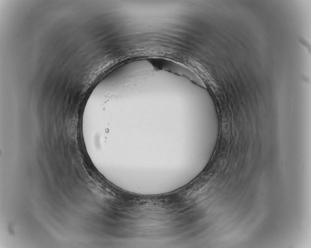 X0000096150434200802081415