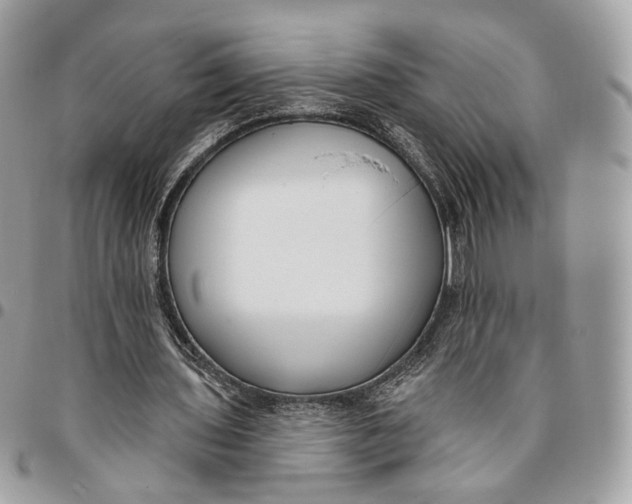 X0000096150435200802081415