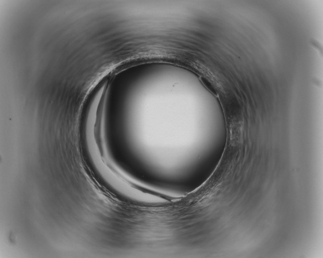 X0000096150436200802081415