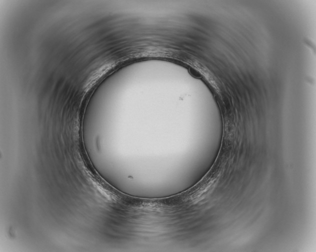 X0000096150437200802081415