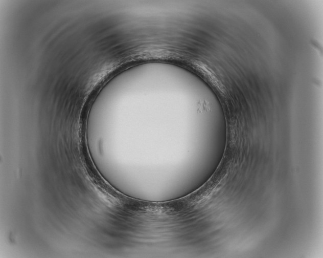 X0000096150439200802081415