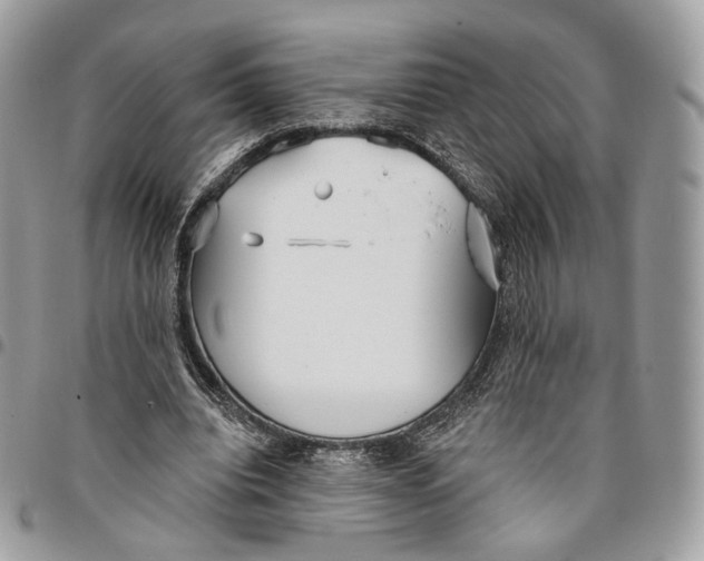 X0000096150440200802081415