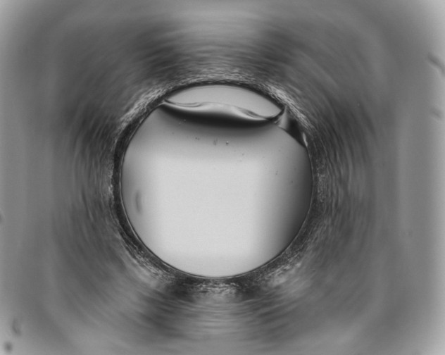 X0000096150443200802081415