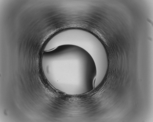 X0000096150444200802081416