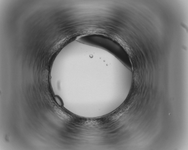 X0000096150445200802081416