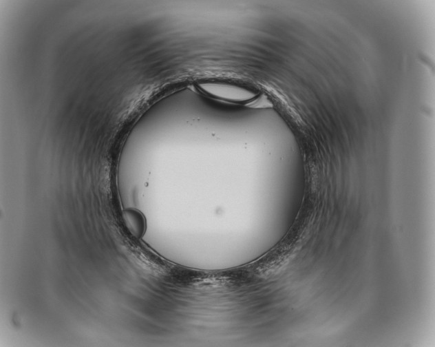 X0000096150447200802081416