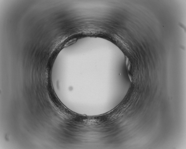 X0000096150448200802081416