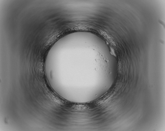 X0000096150449200802081416