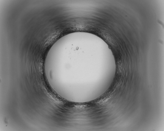 X0000096150450200802081416