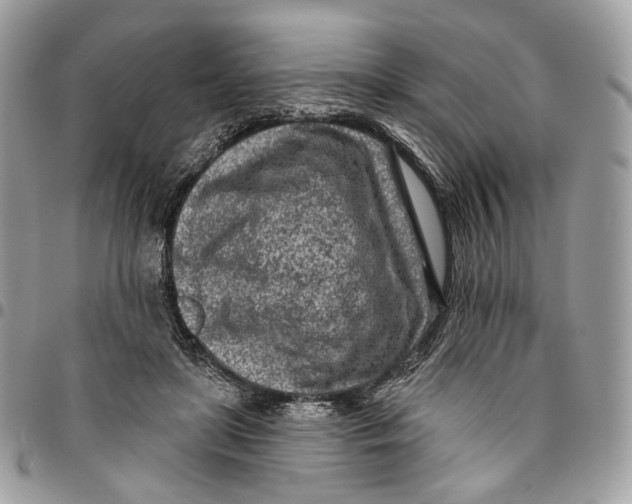 X0000096150451200802081416