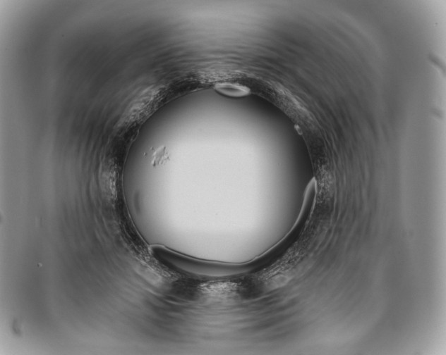 X0000096150452200802081416