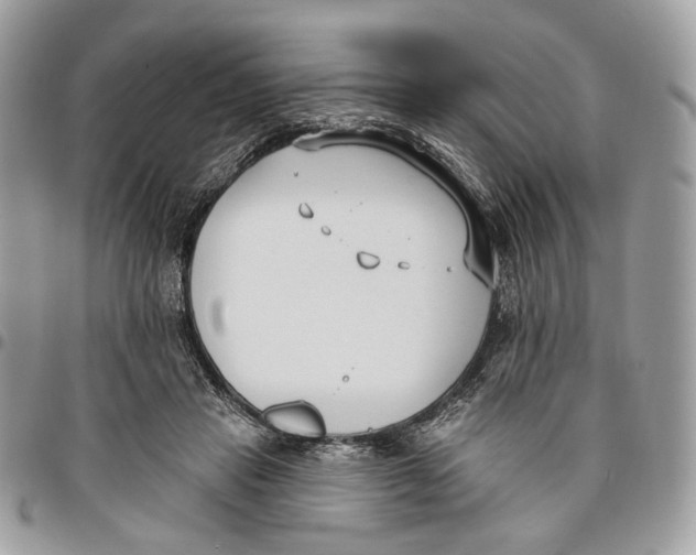 X0000096150453200802081416