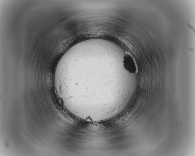 X0000096150455200802081416