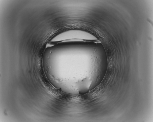 X0000096150456200802081416